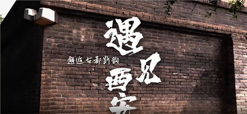 南昌大學“尋歷史文脈，踐文明新風”實踐隊赴西安開展社會實踐