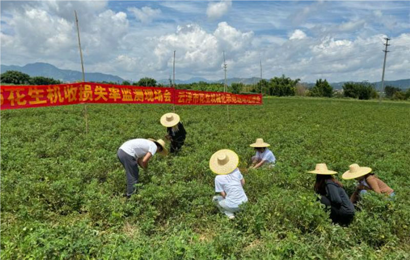 廣東羅定：大學生暑期實踐團，齊心獻力鄉(xiāng)村振興建設