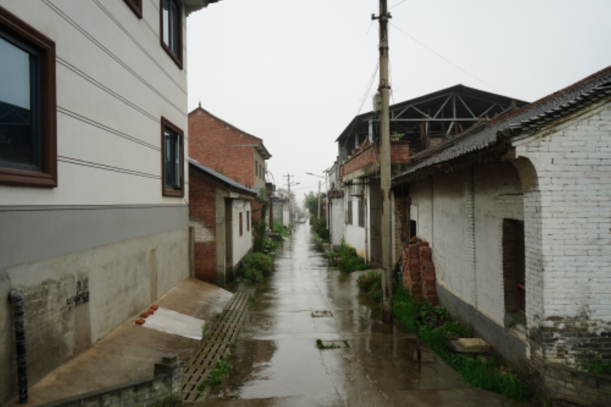 "胡劉村雨中尋紅色，長安隊心間續(xù)薪火"