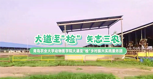 大道至簡，三農(nóng)情牽：青島農(nóng)業(yè)大學(xué)動物醫(yī)學(xué)院鄉(xiāng)村振興實踐服務(wù)團走訪養(yǎng)殖天地