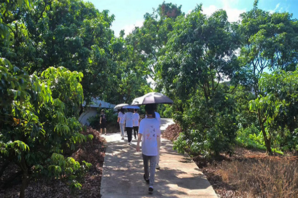 “心跡之旅”社會實(shí)踐隊在茂名高州根子鎮(zhèn)開展荔枝文化走訪活動