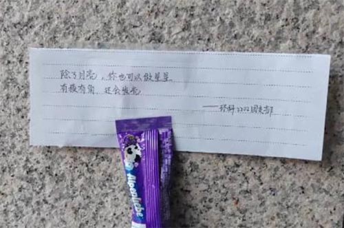構建幸福校園，彰顯文明之風